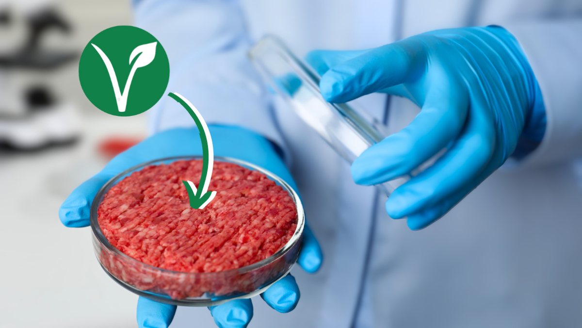 Viande artificielle : est-ce vraiment la solution végane pour ne plus