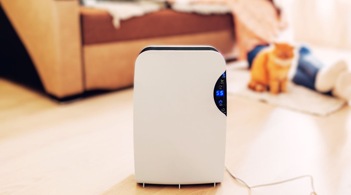déshumidificateur dans un salon