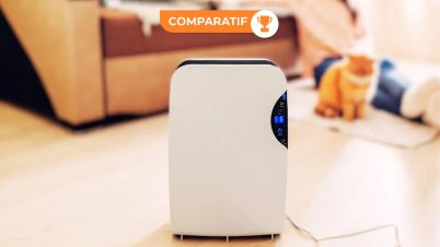 Déshumidificateurs : les 6 meilleurs modèles 2025, pour se débarrasser du moisi et de l'humidité ! meilleur déshumidificateur dans un salon
