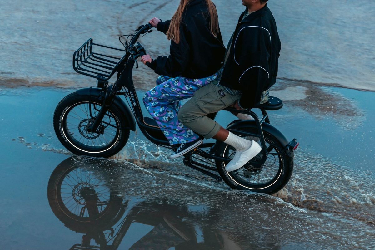 Elwing Ritmic le nouveau fatbike électrique français voit triple — free download