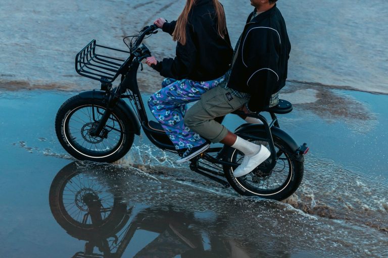 Elwing Ritmic vélo fatbike électrique