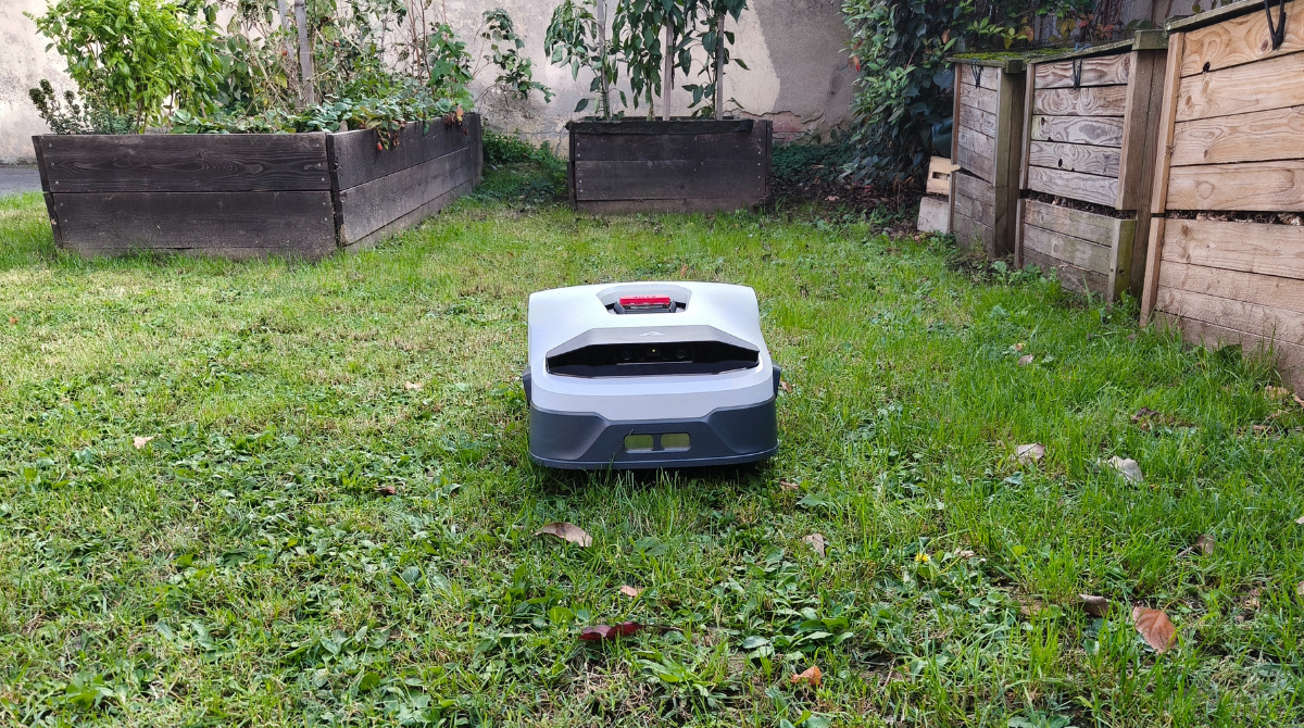 Anthbot Genie 3000 qualité de tonte