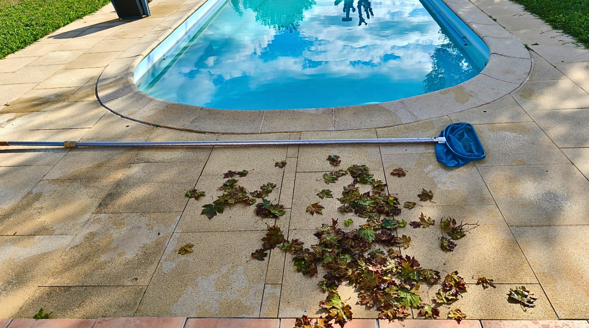 épuisette et feuilles