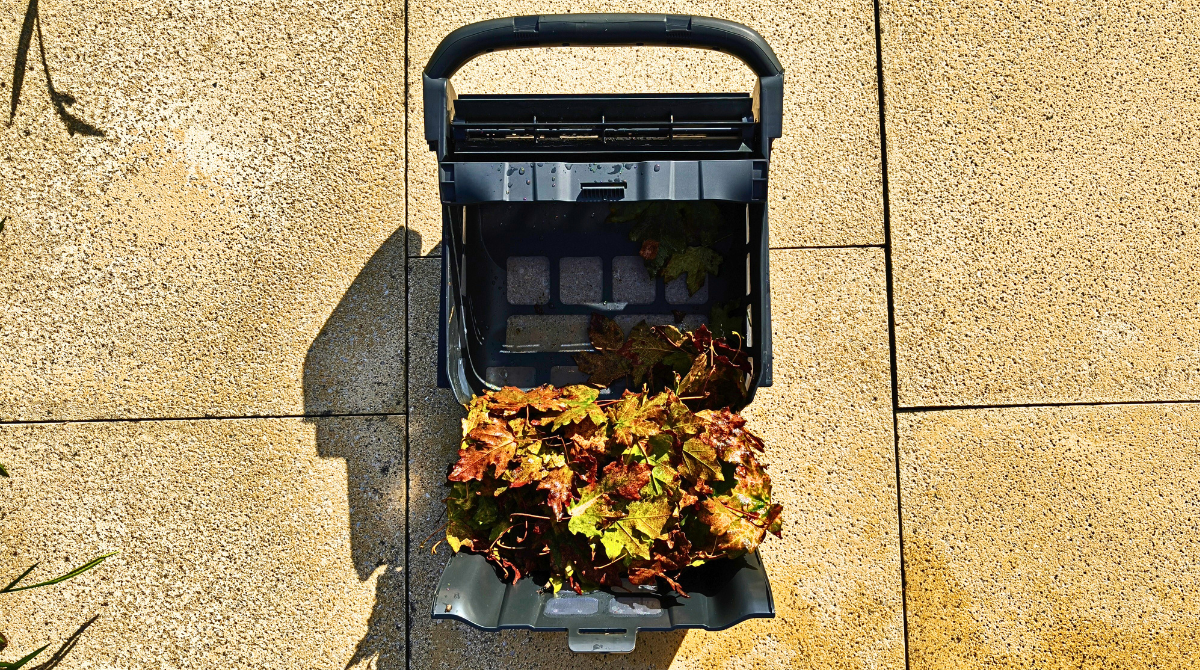 panier et feuilles