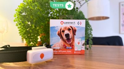 Test Weenect XS : le traceur GPS ultra-compact pour petit chien test collier gps weenect xs