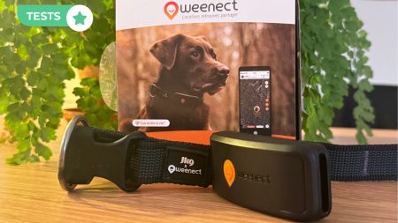 Test Weenect XT : le traceur GPS longue autonomie pour chien actif et fugueur ! test weenect xt