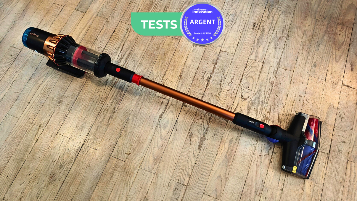 Une Dyson V16 Pilot Animal Test