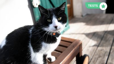 Test traqueur Weenect XS pour chats : que vaut vraiment ce collier GPS ? test weenect xs chat traceur gps