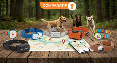 Colliers GPS pour chien : les 7 meilleurs modèles 2026 pour le suivre à la trace Meilleurs Colliers GPS connectés traceur chien