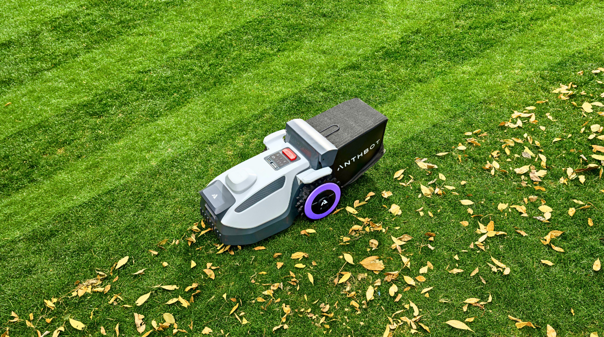 Anthbot série N qui ramasse des feuilles
