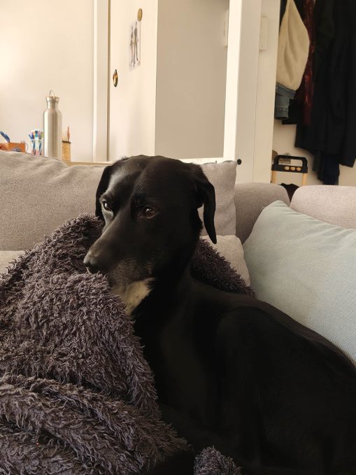 Test photo Realme 16 Pro Plus