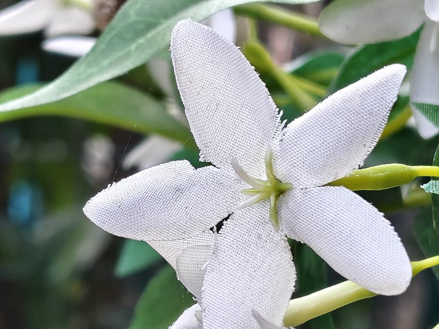 Test photo Realme 16 Pro Plus