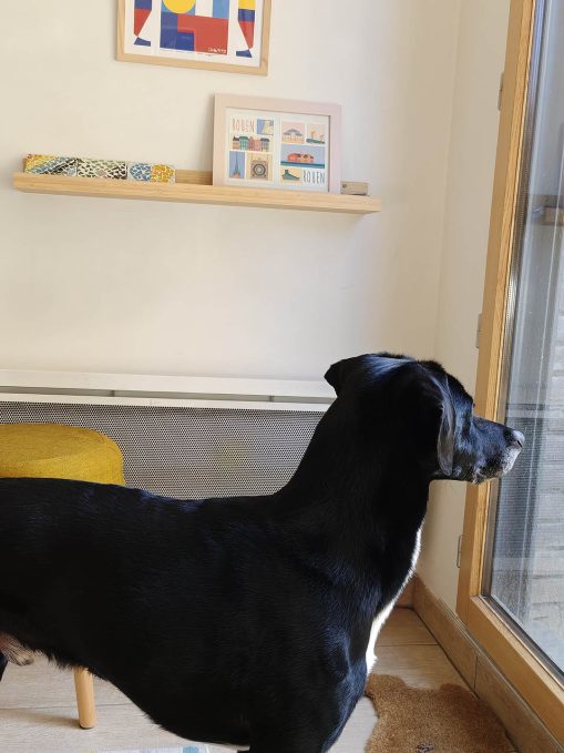 Test photo Realme 16 Pro Plus