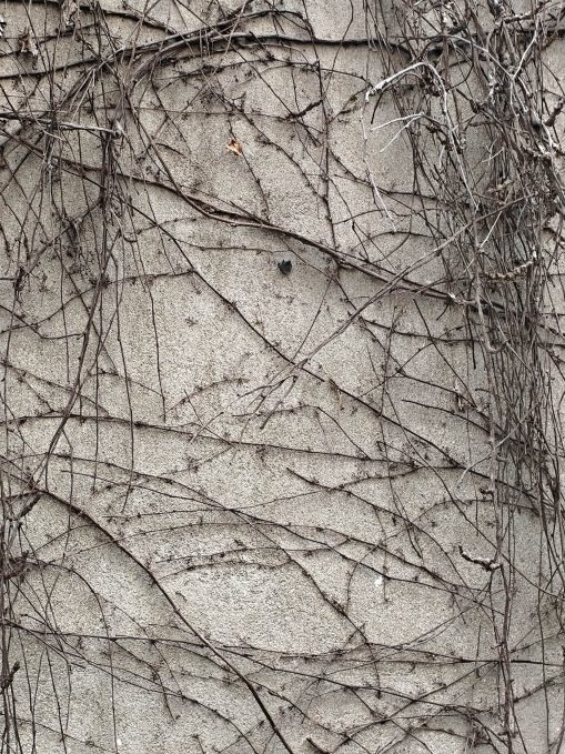 Test photo Realme 16 Pro Plus