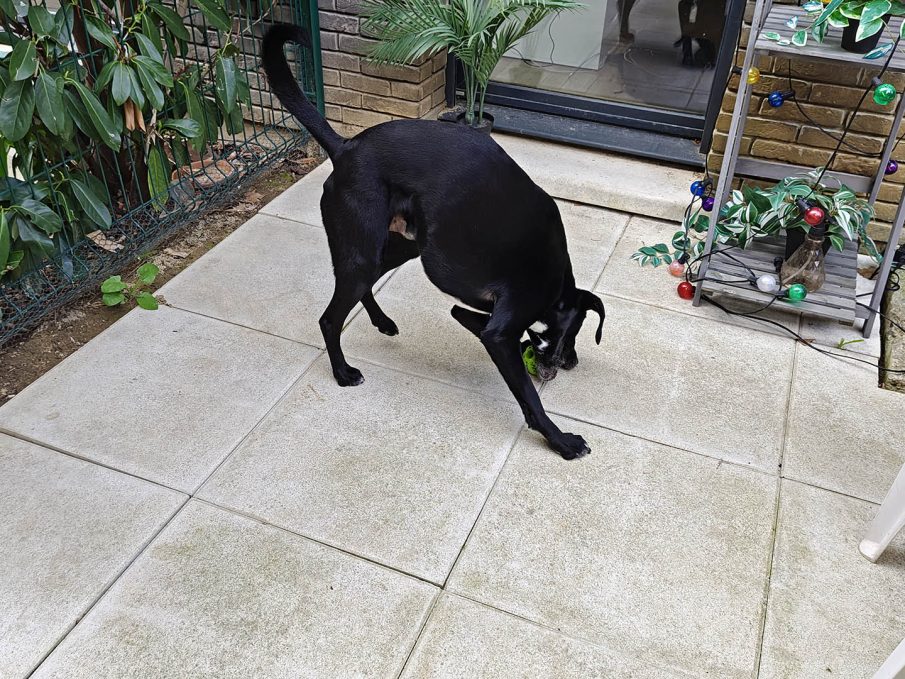 Test photo Realme 16 Pro Plus