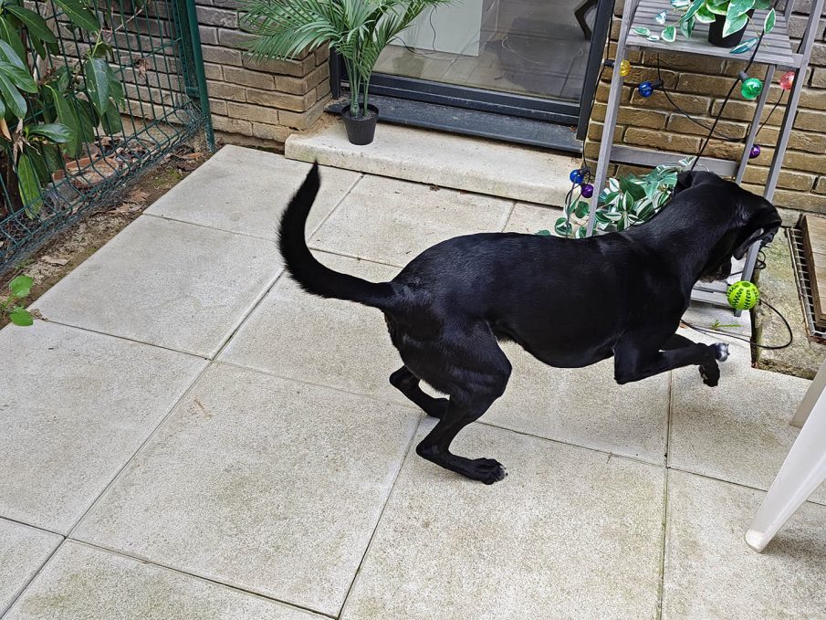 Test photo Realme 16 Pro Plus