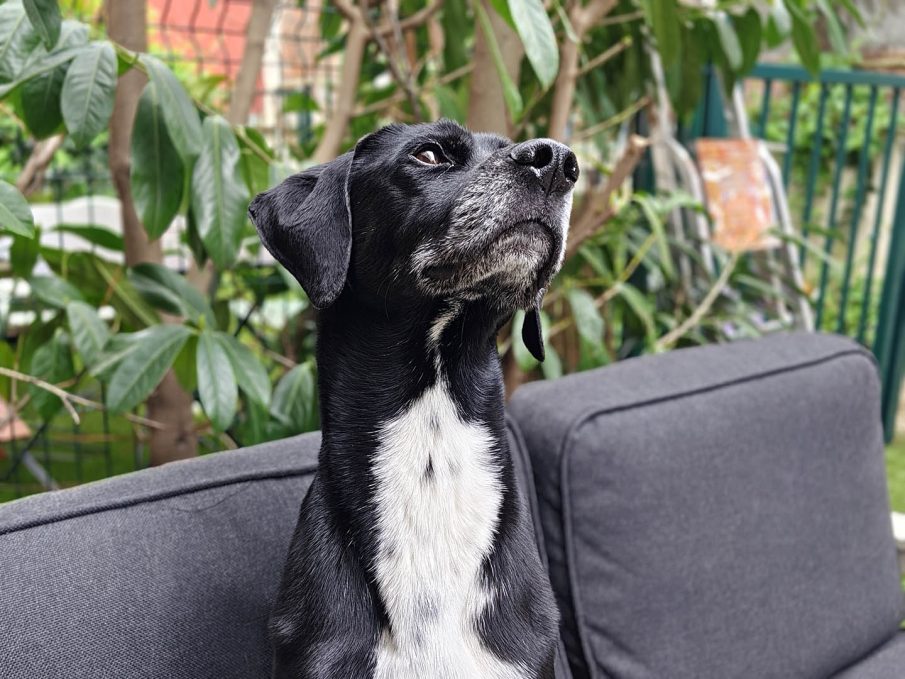 Test photo Realme 16 Pro Plus