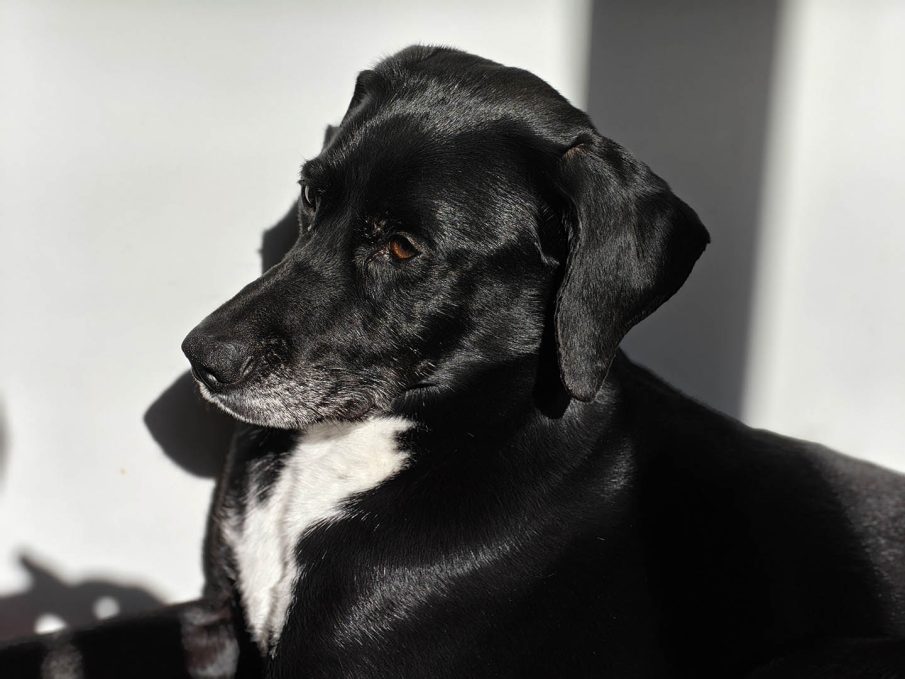 Test photo Realme 16 Pro Plus