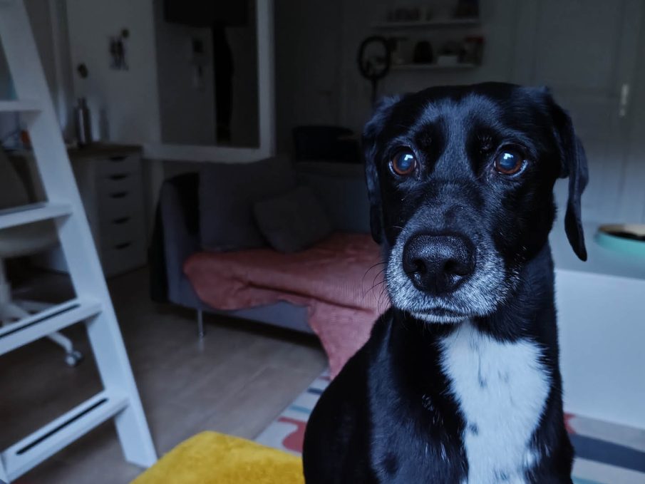 Test photo Realme 16 Pro Plus