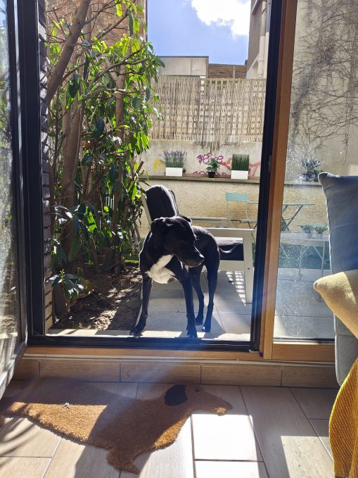 Test photo Realme 16 Pro Plus