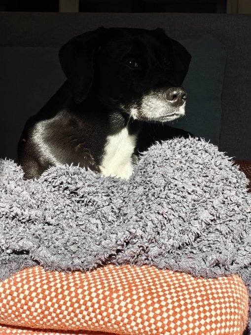 Test photo Realme 16 Pro Plus