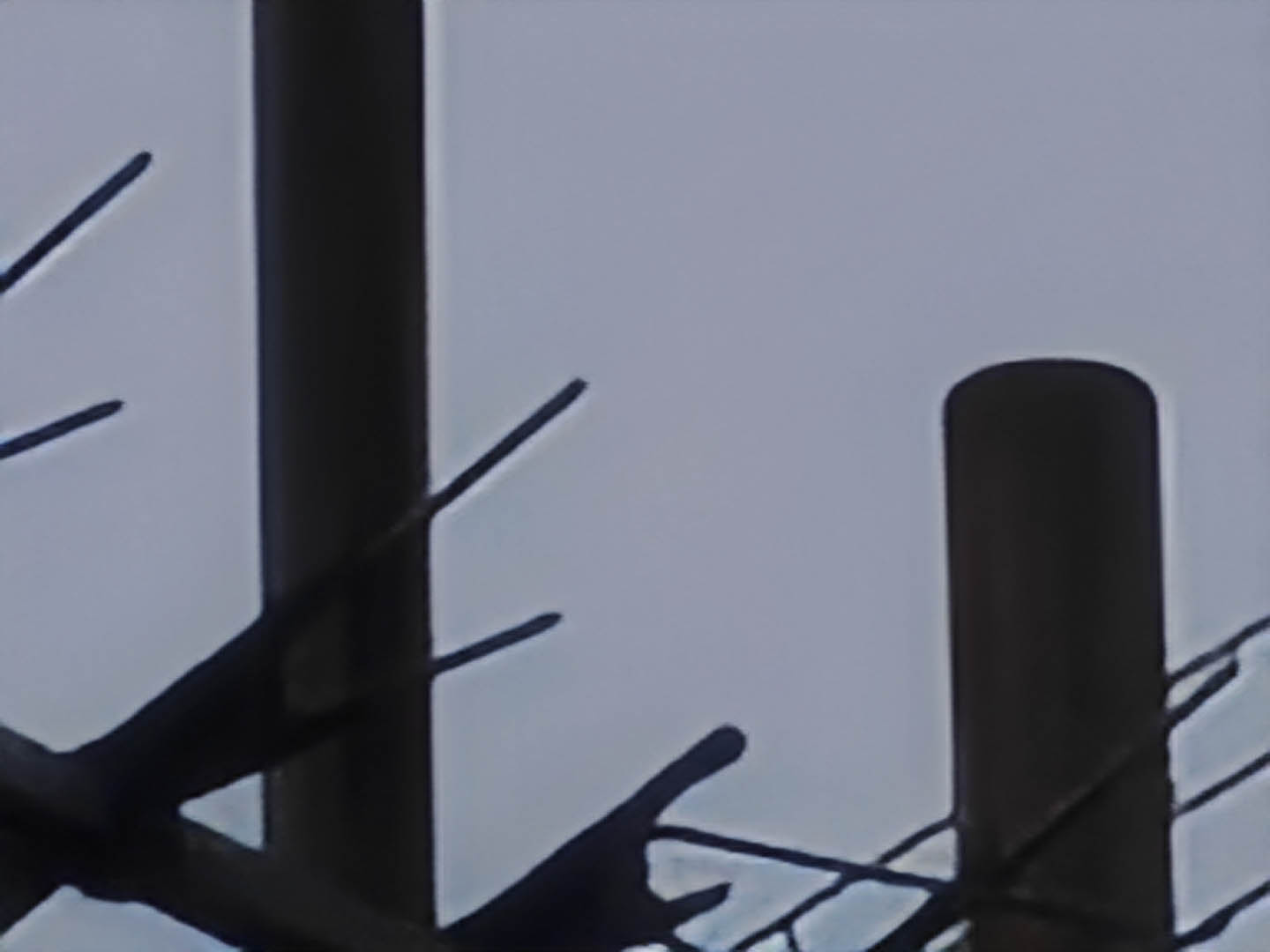 Test photo Realme 16 Pro Plus