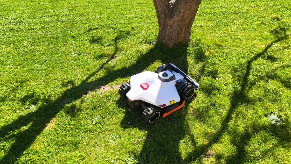 Luba 3 bloqué contournant une racine