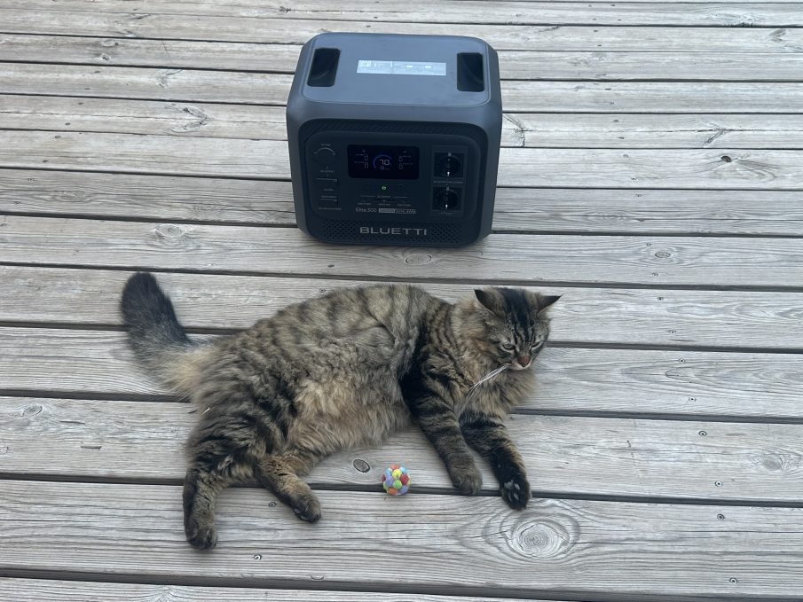 notre avis sur la Bluetti Elite 300 - chat et terrasse