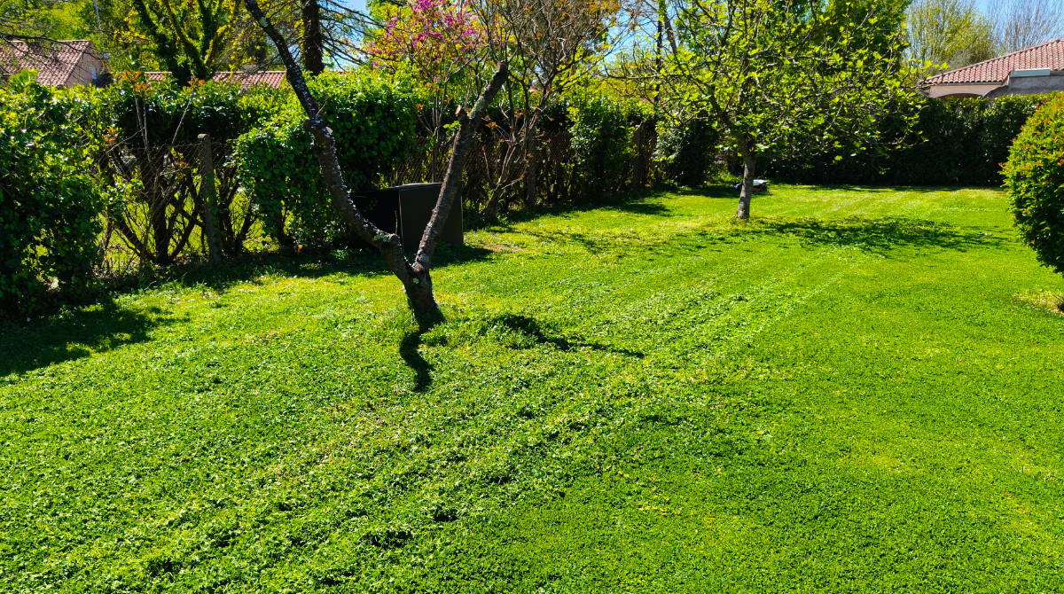jardin après passage du Luba 3 AWD 