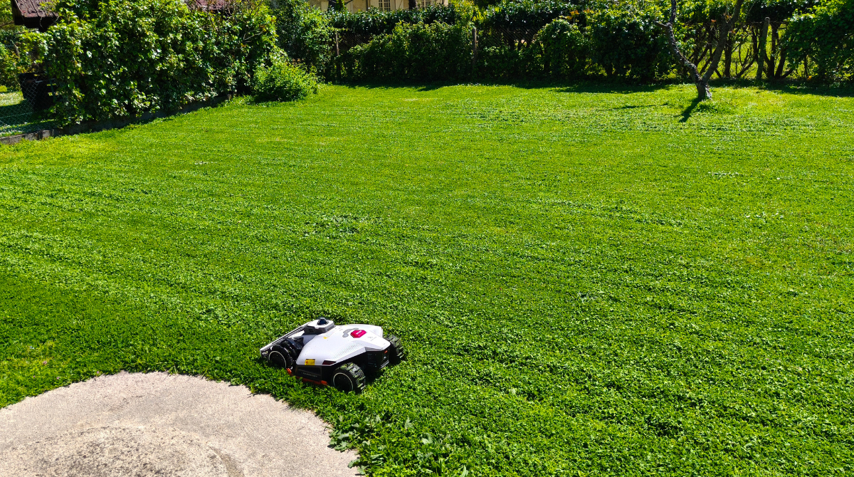 Station Luba 3 AWD devant terrain qu'il vient de tondre