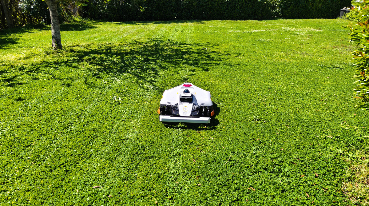 Station Luba 3 AWD vu de face en train de tondre