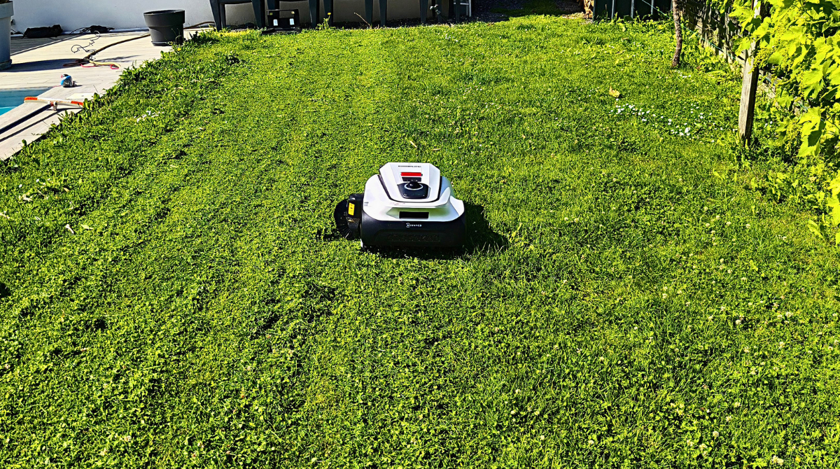Ecovacs A3000 en cours de tonte