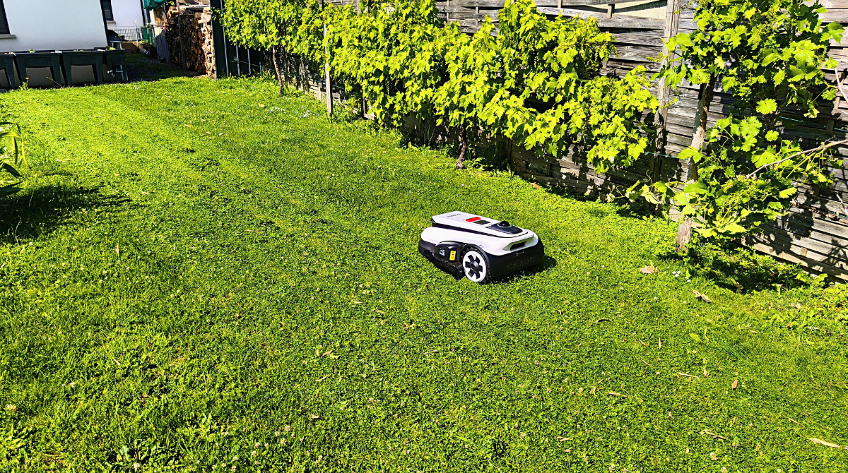 Ecovacs A3000 en train de tondre