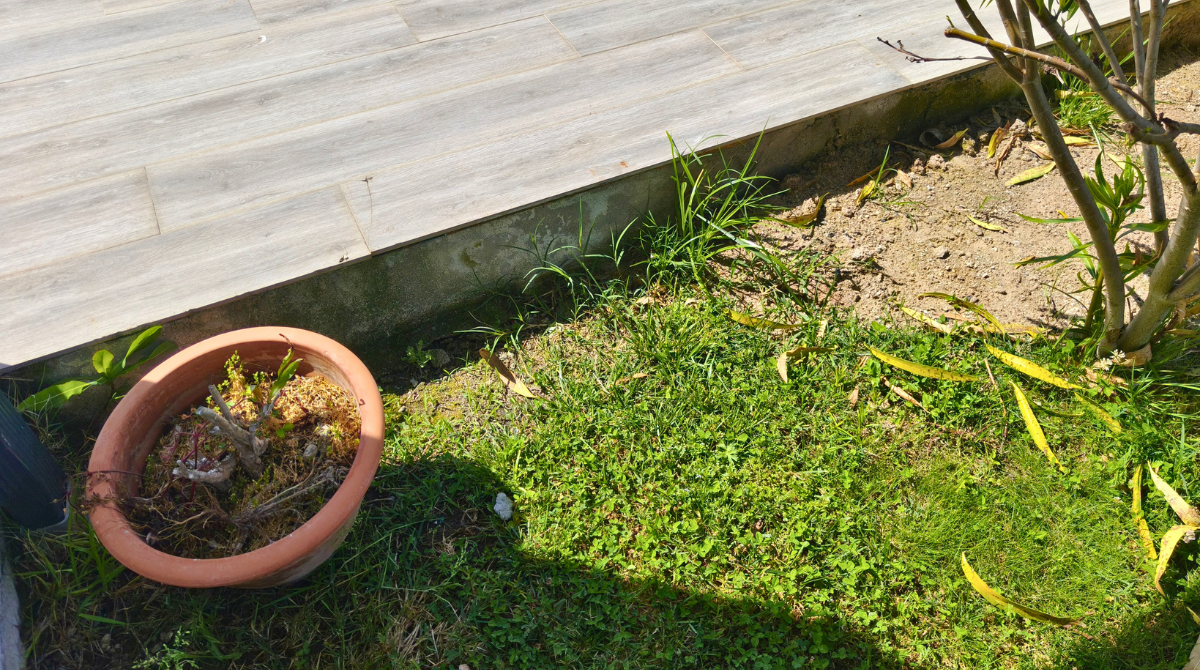 Ecovacs A3000 jardin problématique