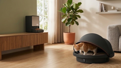 Dreame Pet Line : de la litière autonettoyante à la fontaine connectée, 5 nouveautés originales pour votre chat Gamme Pet Line pour chats Dreame