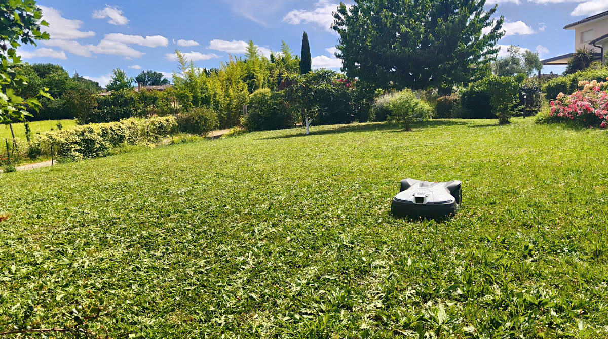 Husqvarna Automower 430V résultat tonte