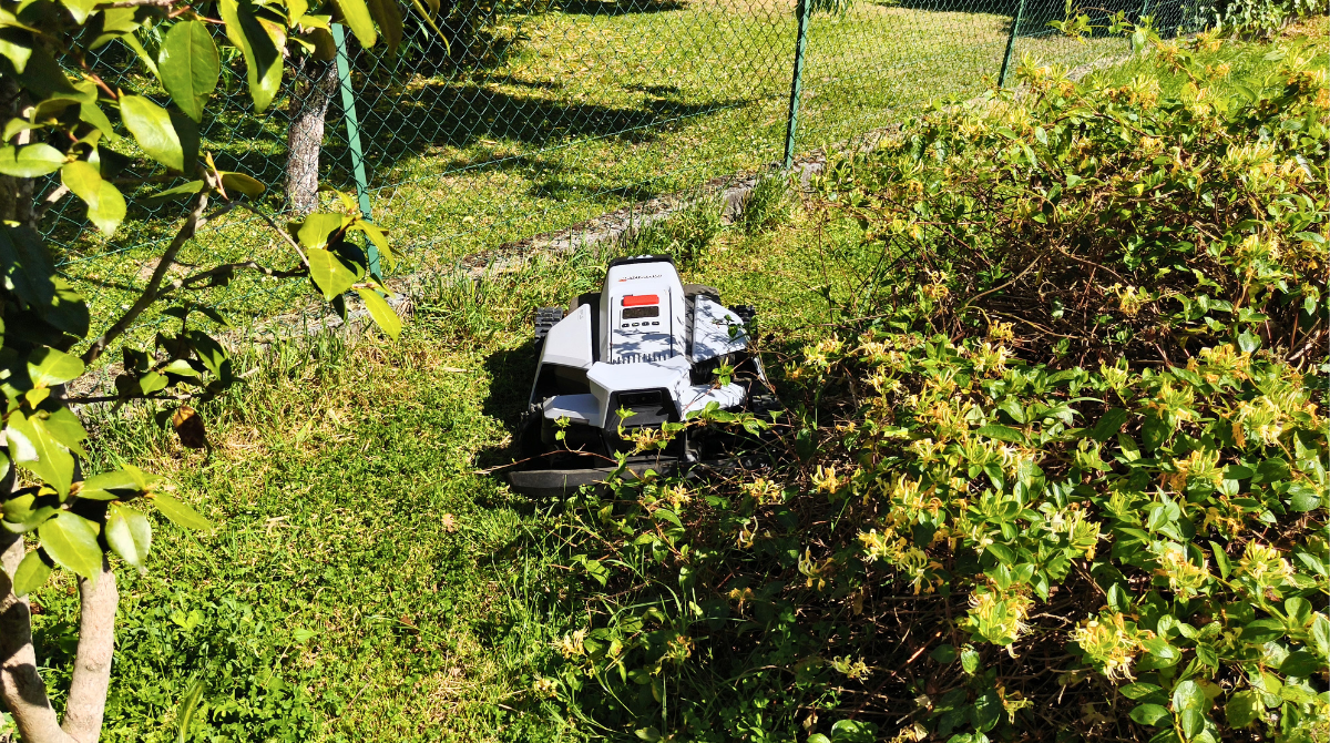 Navimow X4 coincé entre deux plantes
