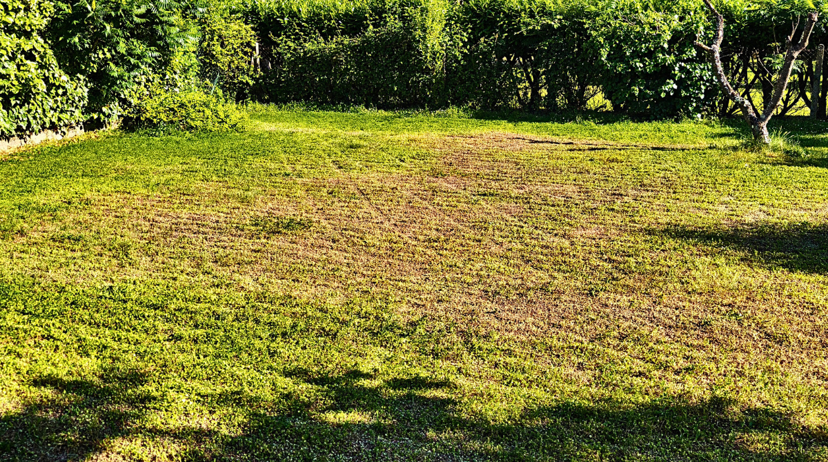 Navimow X4 lignes laissées sur l'herbe