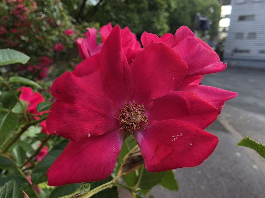 Test macro 1