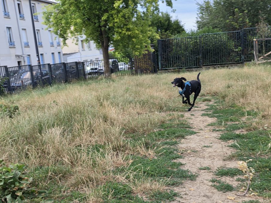 Test mouvement 3