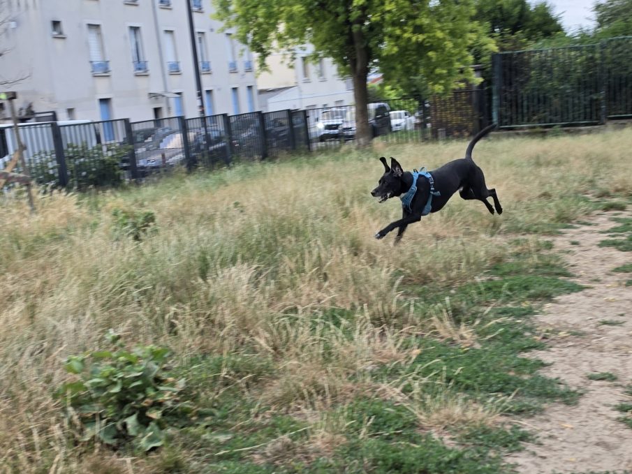 Test mouvement 2