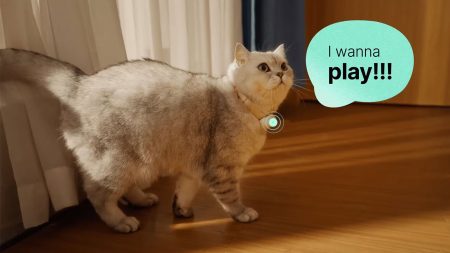 Ce collier IA promet de traduire votre chien et votre chat (mais personne n’a pu le vérifier) Collier IA PettiChat