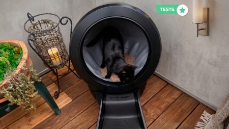 Test Whisker Litter-Robot 4 : la litière automatique la plus aboutie de sa génération mérite-t-elle son prix ? avis Whisker Litter-Robot 4
